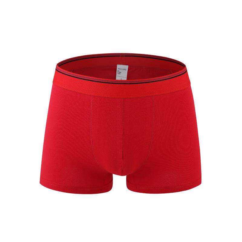 Men's Pure Cotton Boxer Brief